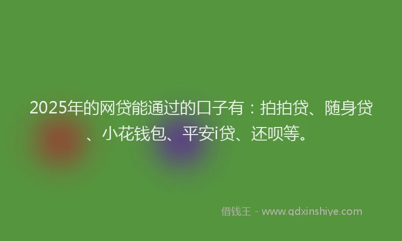2025年的网贷能通过的口子有：拍拍贷、随身贷、小花钱包、平安i贷、还呗等。