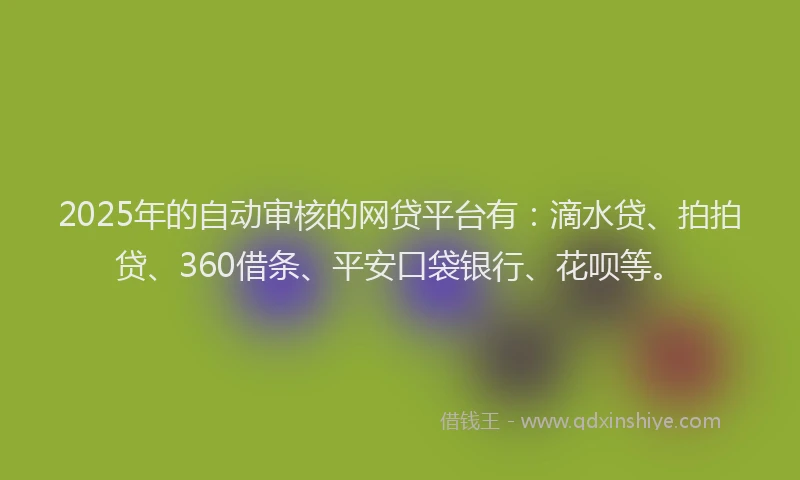 2025年的自动审核的网贷平台有：滴水贷、拍拍贷、360借条、平安口袋银行、花呗等。