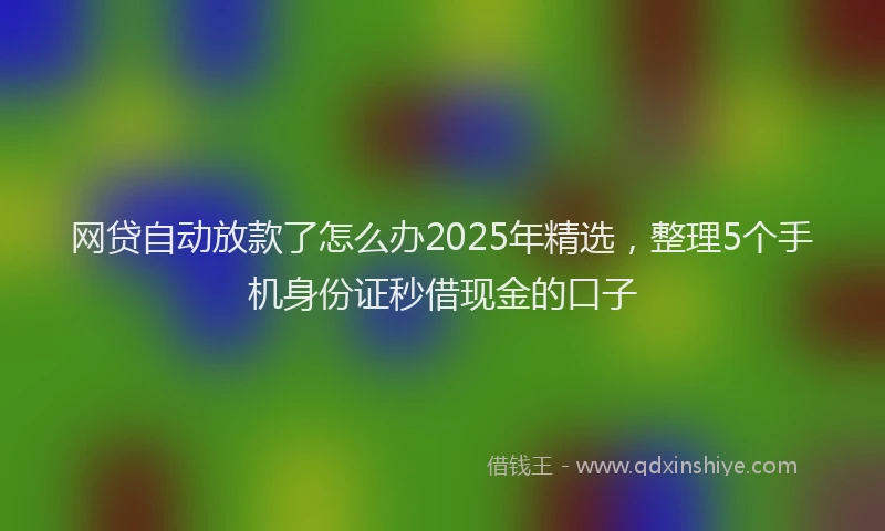 网贷自动放款了怎么办2025年精选，整理5个手机身份证秒借现金的口子