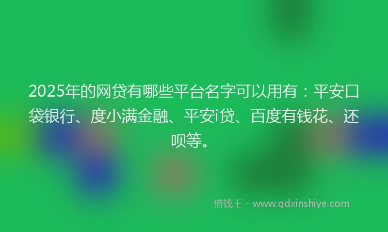2025年的网贷有哪些平台名字可以用有：平安口袋银行、度小满金融、平安i贷、百度有钱花、还呗等。