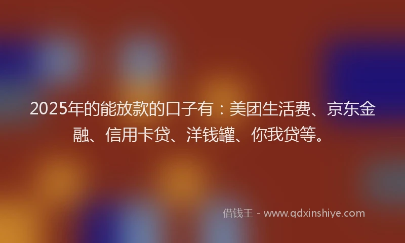 2025年的能放款的口子有：美团生活费、京东金融、信用卡贷、洋钱罐、你我贷等。