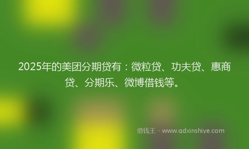 2025年的美团分期贷有：微粒贷、功夫贷、惠商贷、分期乐、微博借钱等。