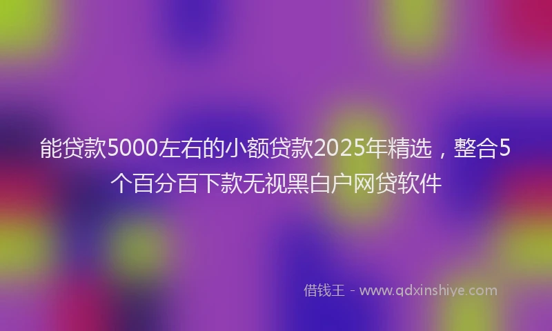 能贷款5000左右的小额贷款2025年精选，整合5个百分百下款无视黑白户网贷软件