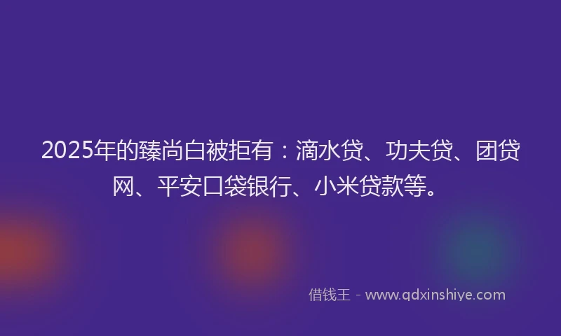 2025年的臻尚白被拒有：滴水贷、功夫贷、团贷网、平安口袋银行、小米贷款等。