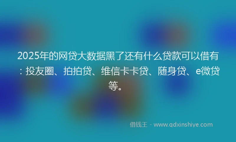 2025年的网贷大数据黑了还有什么贷款可以借有：投友圈、拍拍贷、维信卡卡贷、随身贷、e微贷等。