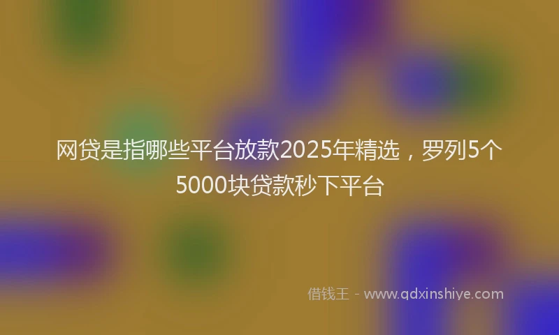 网贷是指哪些平台放款2025年精选，罗列5个5000块贷款秒下平台