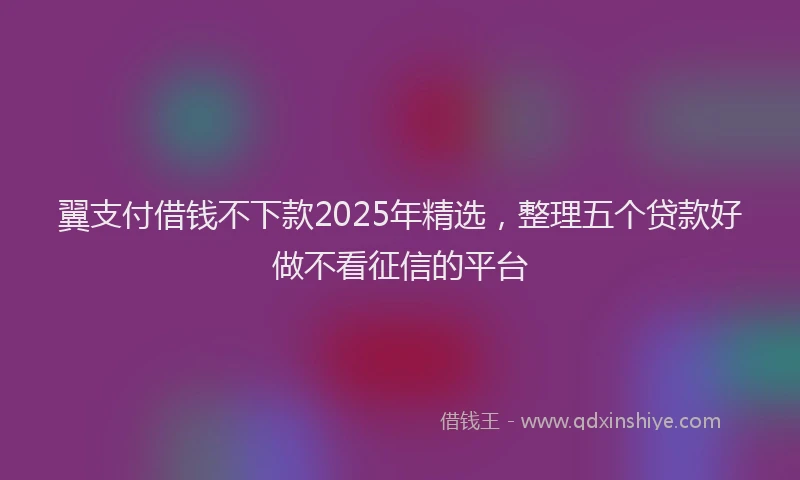 翼支付借钱不下款2025年精选，整理五个贷款好做不看征信的平台