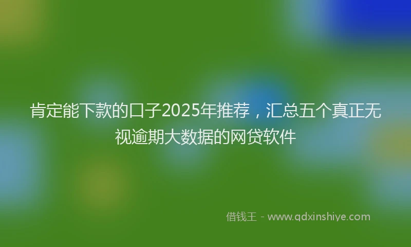 肯定能下款的口子2025年推荐，汇总五个真正无视逾期大数据的网贷软件