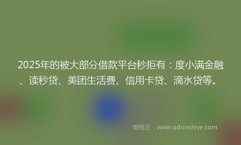 2025年的被大部分借款平台秒拒有：度小满金融、读秒贷、美团生活费、信用卡贷、滴水贷等。