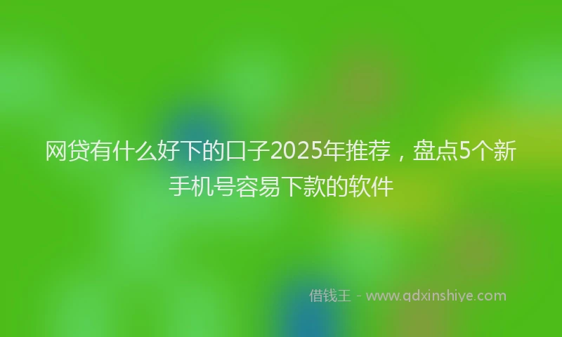 网贷有什么好下的口子2025年推荐，盘点5个新手机号容易下款的软件