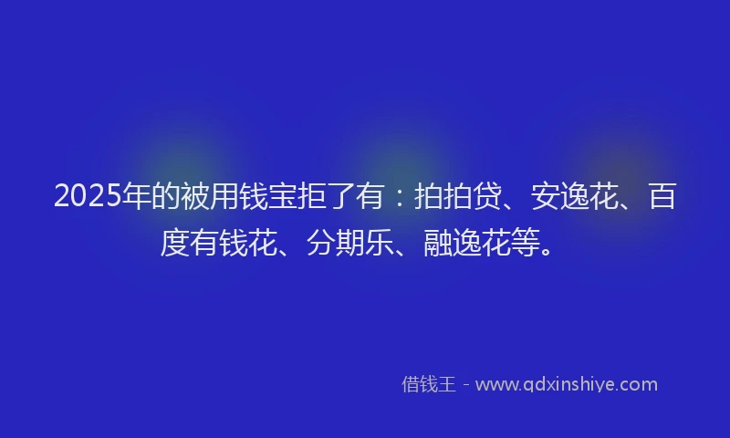 2025年的被用钱宝拒了有：拍拍贷、安逸花、百度有钱花、分期乐、融逸花等。