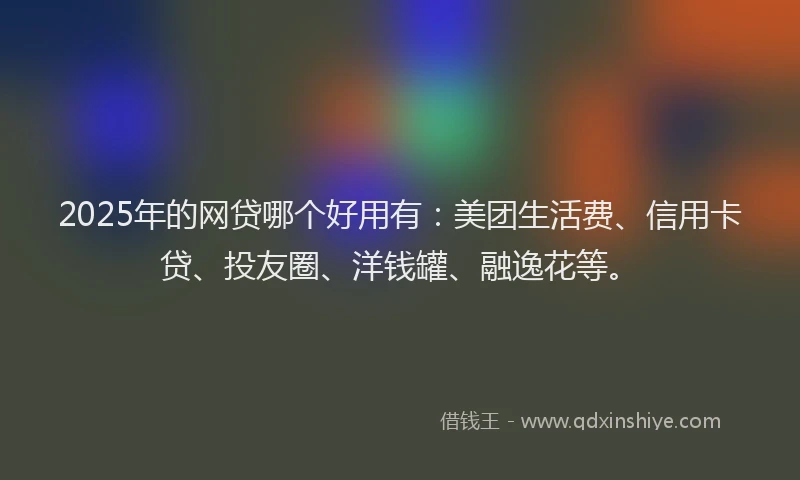 2025年的网贷哪个好用有：美团生活费、信用卡贷、投友圈、洋钱罐、融逸花等。