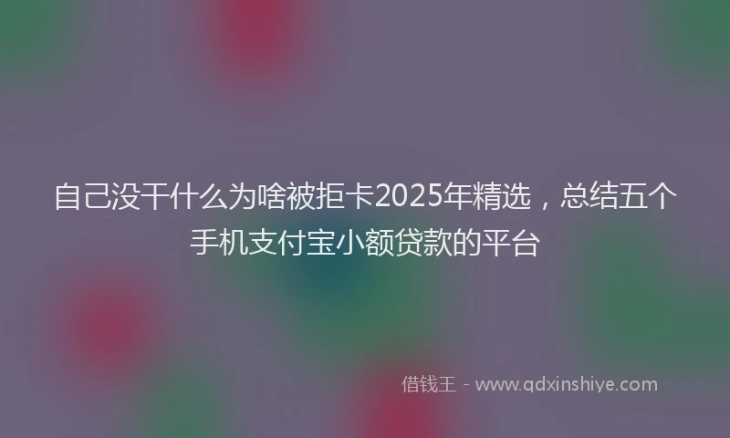 自己没干什么为啥被拒卡2025年精选，总结五个手机支付宝小额贷款的平台