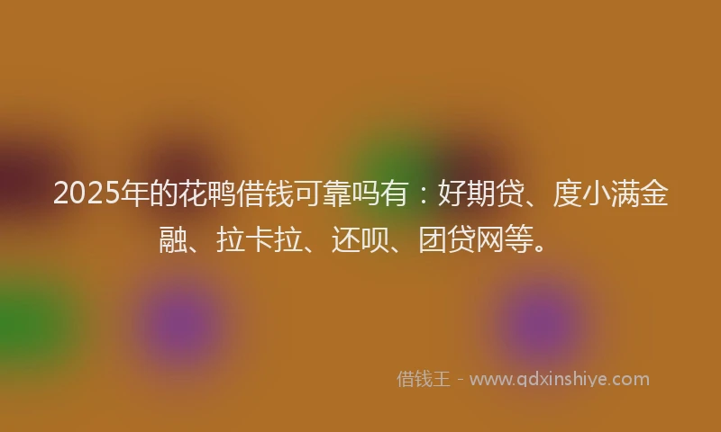 2025年的花鸭借钱可靠吗有：好期贷、度小满金融、拉卡拉、还呗、团贷网等。
