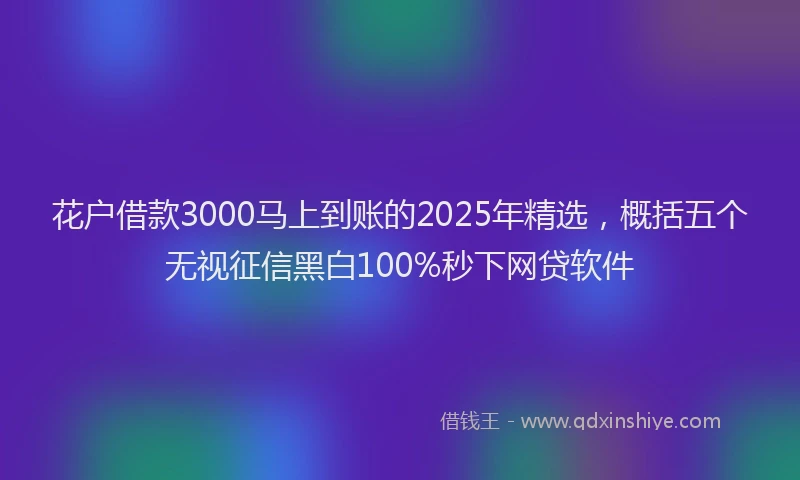 花户借款3000马上到账的2025年精选，概括五个无视征信黑白100%秒下网贷软件