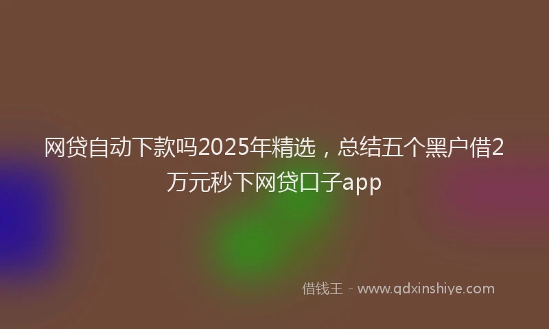 网贷自动下款吗2025年精选，总结五个黑户借2万元秒下网贷口子app