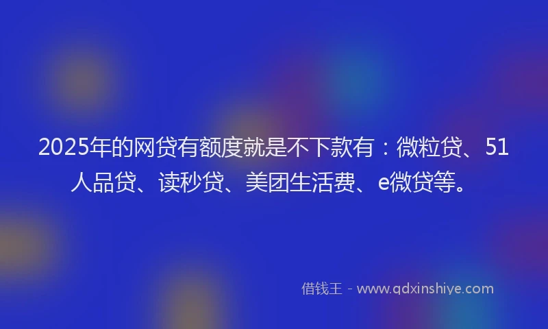 2025年的网贷有额度就是不下款有：微粒贷、51人品贷、读秒贷、美团生活费、e微贷等。