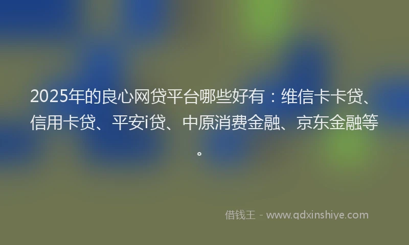 2025年的良心网贷平台哪些好有：维信卡卡贷、信用卡贷、平安i贷、中原消费金融、京东金融等。