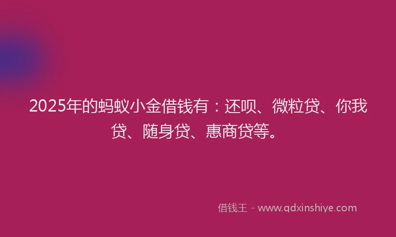 2025年的蚂蚁小金借钱有：还呗、微粒贷、你我贷、随身贷、惠商贷等。