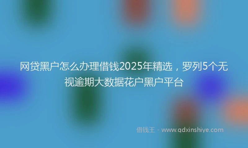 网贷黑户怎么办理借钱2025年精选，罗列5个无视逾期大数据花户黑户平台