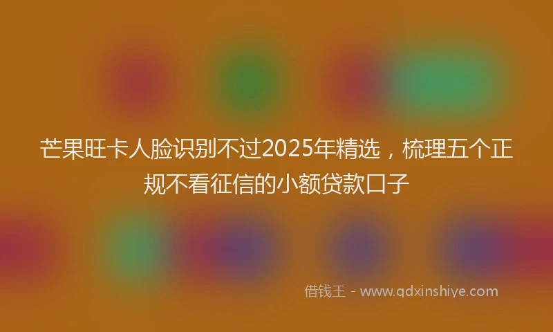 芒果旺卡人脸识别不过2025年精选，梳理五个正规不看征信的小额贷款口子