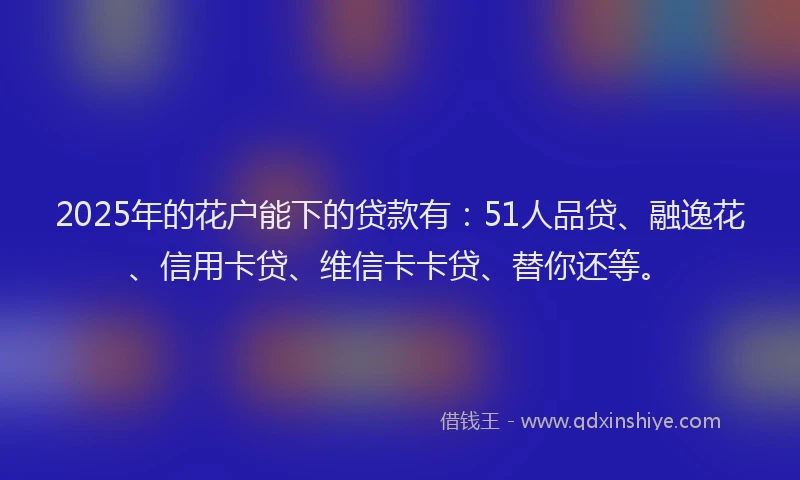 2025年的花户能下的贷款有：51人品贷、融逸花、信用卡贷、维信卡卡贷、替你还等。