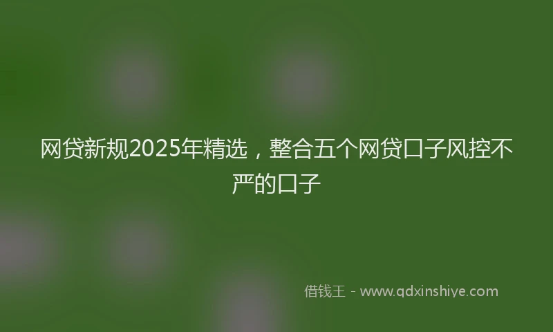 网贷新规2025年精选，整合五个网贷口子风控不严的口子