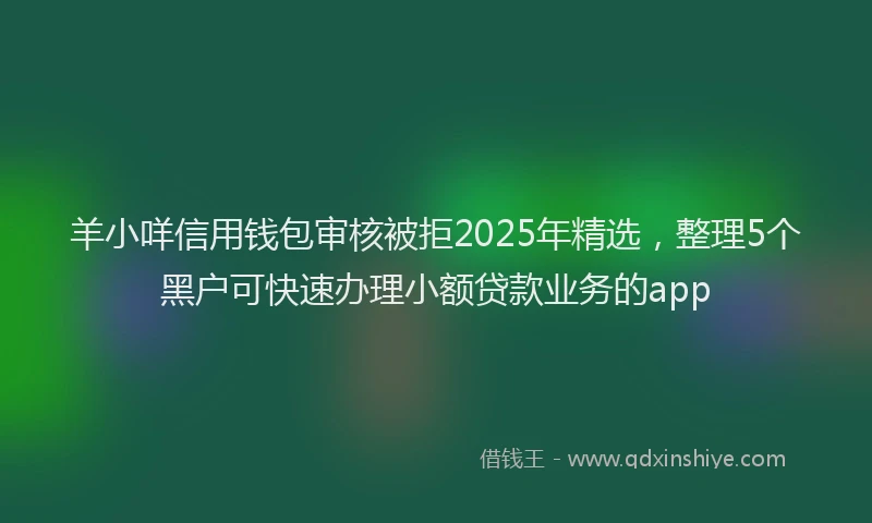 羊小咩信用钱包审核被拒2025年精选，整理5个黑户可快速办理小额贷款业务的app