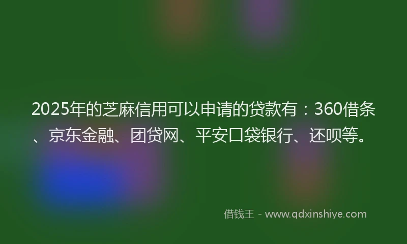 2025年的芝麻信用可以申请的贷款有：360借条、京东金融、团贷网、平安口袋银行、还呗等。