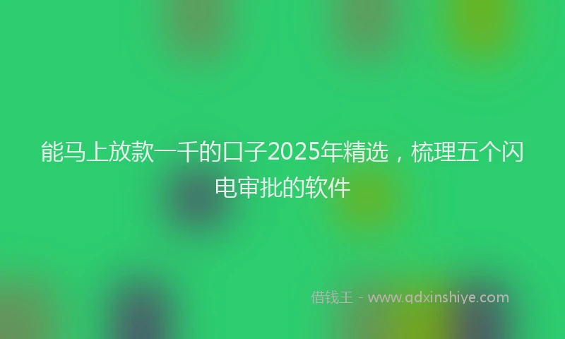 能马上放款一千的口子2025年精选，梳理五个闪电审批的软件