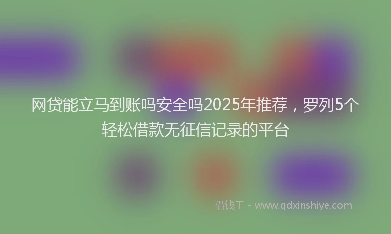 网贷能立马到账吗安全吗2025年推荐，罗列5个轻松借款无征信记录的平台