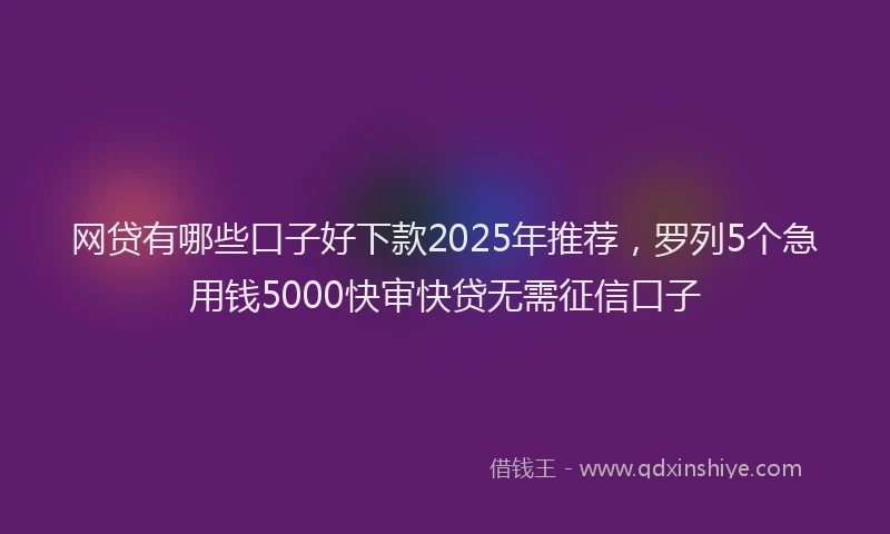 网贷有哪些口子好下款2025年推荐，罗列5个急用钱5000快审快贷无需征信口子