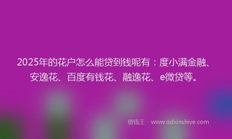 2025年的花户怎么能贷到钱呢有：度小满金融、安逸花、百度有钱花、融逸花、e微贷等。