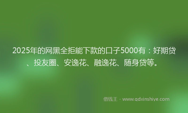 2025年的网黑全拒能下款的口子5000有：好期贷、投友圈、安逸花、融逸花、随身贷等。