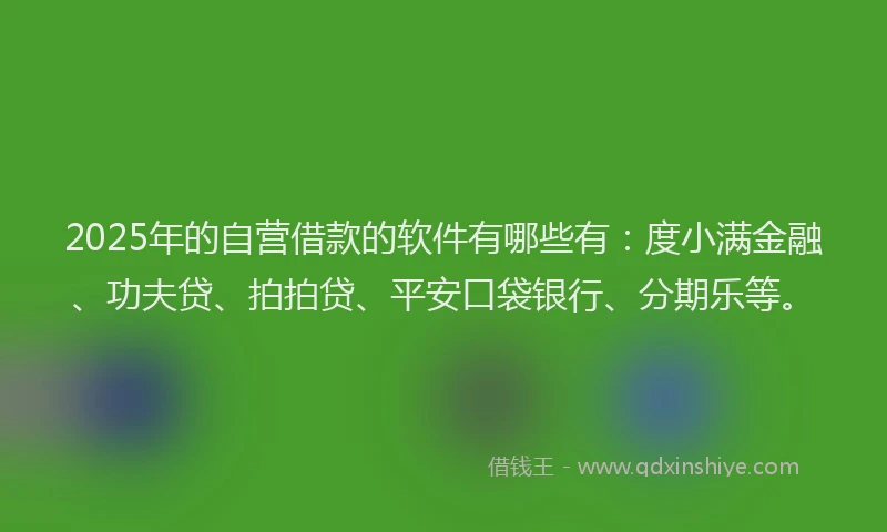 2025年的自营借款的软件有哪些有：度小满金融、功夫贷、拍拍贷、平安口袋银行、分期乐等。