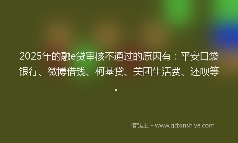 2025年的融e贷审核不通过的原因有：平安口袋银行、微博借钱、柯基贷、美团生活费、还呗等。