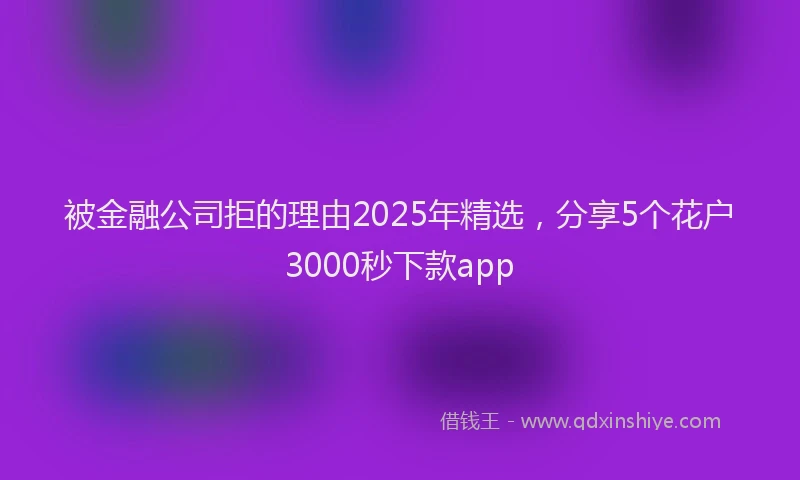 被金融公司拒的理由2025年精选，分享5个花户3000秒下款app