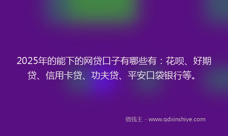 2025年的能下的网贷口子有哪些有：花呗、好期贷、信用卡贷、功夫贷、平安口袋银行等。
