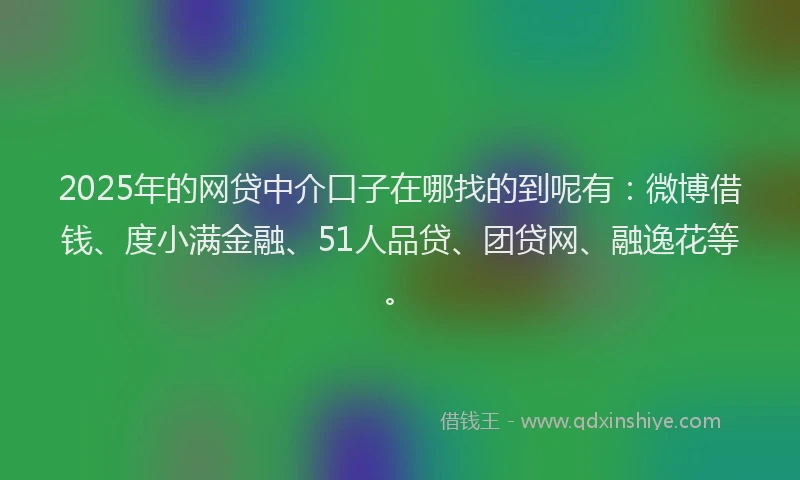 2025年的网贷中介口子在哪找的到呢有：微博借钱、度小满金融、51人品贷、团贷网、融逸花等。