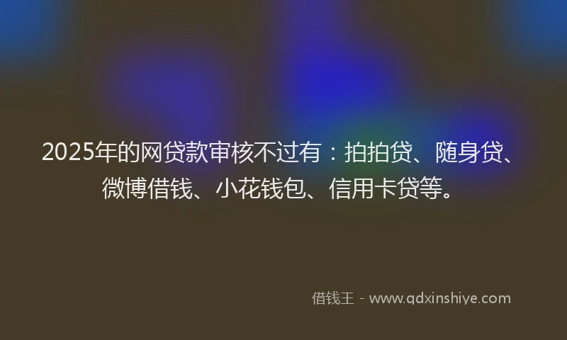 2025年的网贷款审核不过有：拍拍贷、随身贷、微博借钱、小花钱包、信用卡贷等。