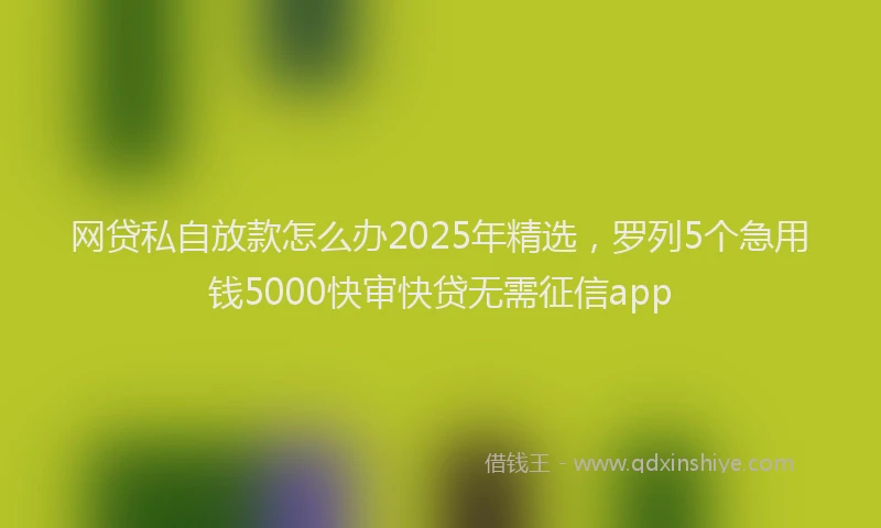 网贷私自放款怎么办2025年精选，罗列5个急用钱5000快审快贷无需征信app