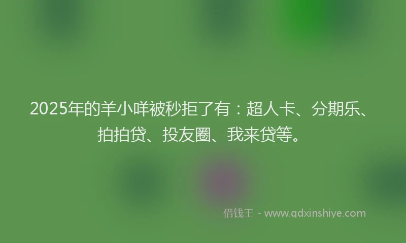 2025年的羊小咩被秒拒了有：超人卡、分期乐、拍拍贷、投友圈、我来贷等。