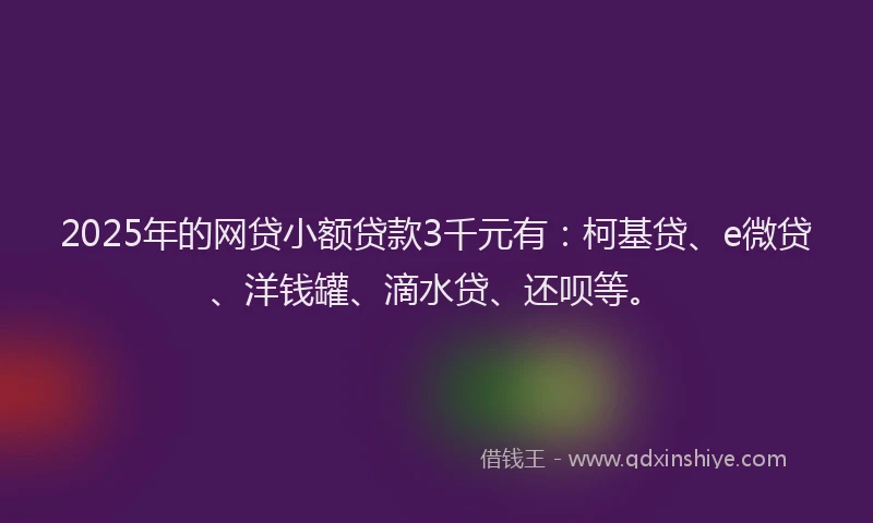 2025年的网贷小额贷款3千元有：柯基贷、e微贷、洋钱罐、滴水贷、还呗等。