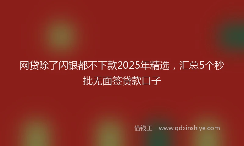 网贷除了闪银都不下款2025年精选，汇总5个秒批无面签贷款口子