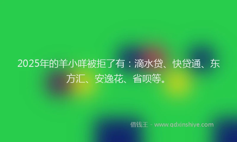 2025年的羊小咩被拒了有：滴水贷、快贷通、东方汇、安逸花、省呗等。