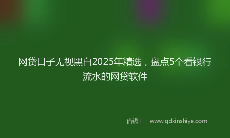 网贷口子无视黑白2025年精选，盘点5个看银行流水的网贷软件