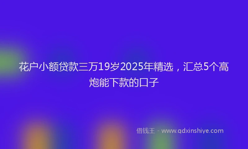 花户小额贷款三万19岁2025年精选，汇总5个高炮能下款的口子