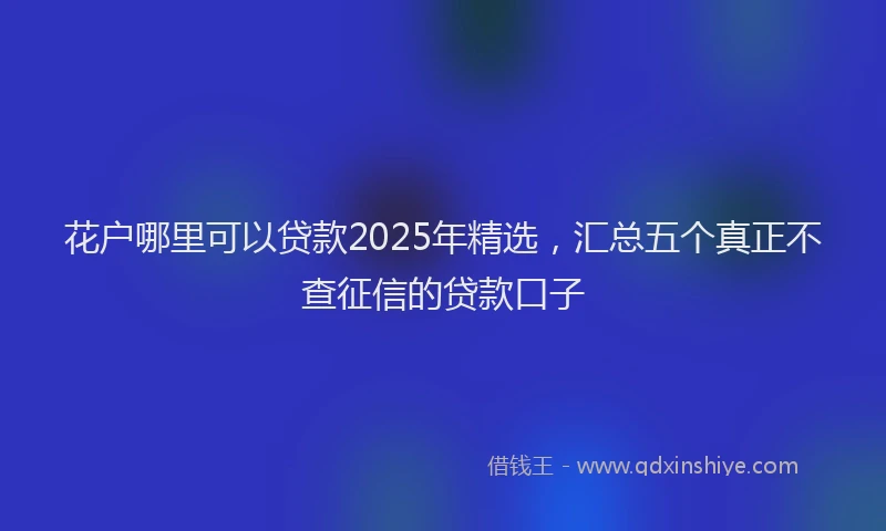 花户哪里可以贷款2025年精选，汇总五个真正不查征信的贷款口子