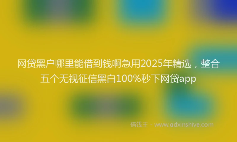 网贷黑户哪里能借到钱啊急用2025年精选，整合五个无视征信黑白100%秒下网贷app