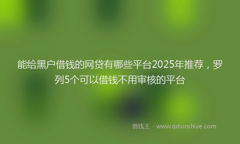 能给黑户借钱的网贷有哪些平台2025年推荐，罗列5个可以借钱不用审核的平台